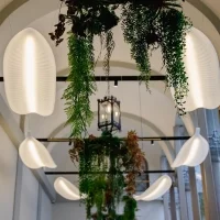 Slide Banana Leaf suspension light