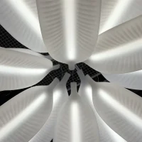 Slide Banana Leaf suspension light