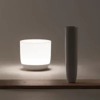 Flos Gaku Wireless table LED wood lamp Induction rechargeable
