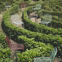 Kartell Hiray chair