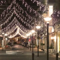 New Lamps string curtain Light 128 Bulbs LED 230V IN 24V OUT