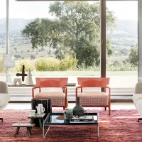 Kartell poltrona Cara