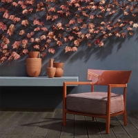 Kartell Cara armchair