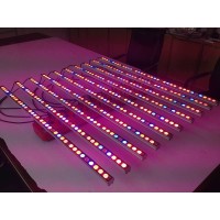 Growish Barra LED 3x36W 108W Coltivazione / Crescita Piante