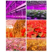 Growish Barra LED 3x36W 108W Coltivazione / Crescita Piante