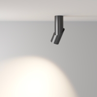 Maytoni Dafne led ceiling lamp