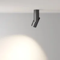 Maytoni Dafne led ceiling lamp