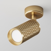 Maytoni Focus Design ceiling spotlight