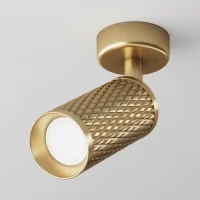 Maytoni Focus Design faretto da soffitto