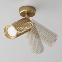 Maytoni Focus Design ceiling spotlight