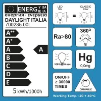 LED Curved Vintage Lamp Globe D.180 BUMPED E27 5W 2000K 250lm