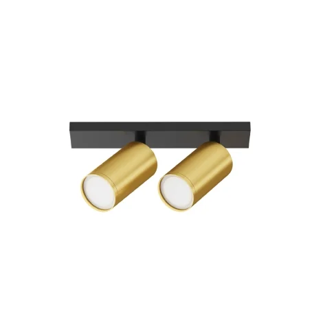 Maytoni Focus S Double ceiling spotlight