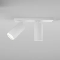 Maytoni Focus S Double ceiling spotlight