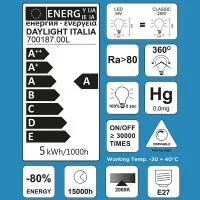 LED Curved Vintage Lamp Globe BIG DEMIJOHN E27 5W 2000K 250lm