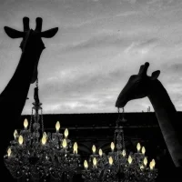 Qeeboo Giraffe In Love XL da interno