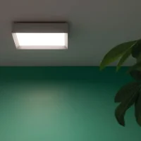 Lombardo Flo Q ceiling and wall lamp
