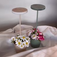 Zafferano Poldina Reverso Led battery table Lamp