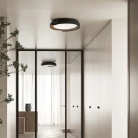 Kundalini Dala led ceiling lamp