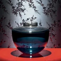 Kartell vaso Shibuya Kartell vaso Shibuya