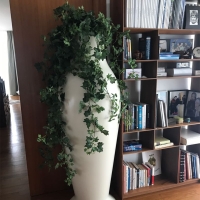 Kartell Misses Flower Power vase