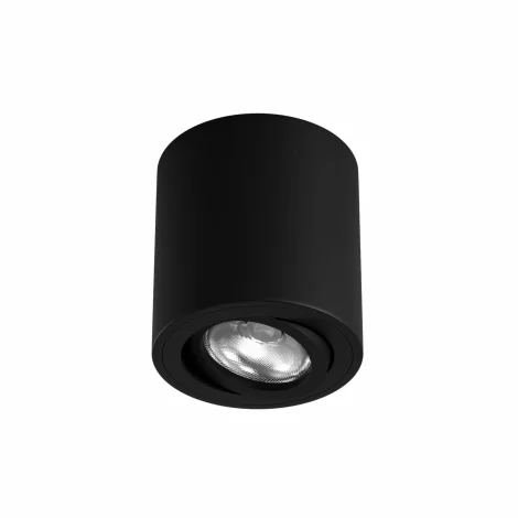 Beneito Faure One Adjustable Surface Spotlight