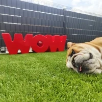 Slide WOW decorative bench Slide WOW decorative bench