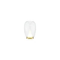 Maytoni Splash table lamp
