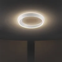 Lodes Tidal lampada LED ovale da soffitto circolare (aspetto i codici)