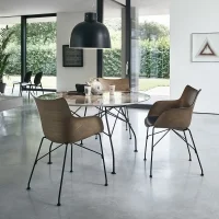 Kartell sedia Q/Wood Soft