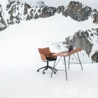 Kartell sedia Q/Wood Rotelle Soft