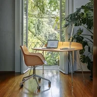 Kartell sedia Q/Wood Rotelle Soft