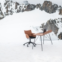 Kartell sedia Q/Wood Rotelle