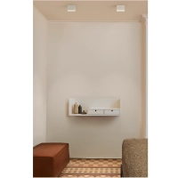 Flos Light Shadow Surface Soffitto 4 LED 10W 23° Dimmerabile