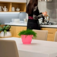 Plust vaso Rebelot Mini