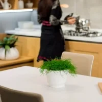 Pust Revelot Mini vase Pust Revelot Mini vase