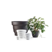 Plust vaso Rebelot Mini