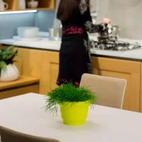 Pust Revelot Mini vase Pust Revelot Mini vase