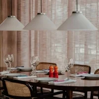 Pholc Aline suspension lamp