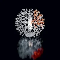 Pallucco Coral lampada da tavolo