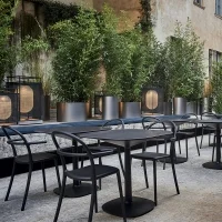 Kartell Generic C chair