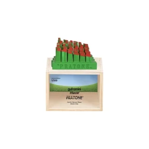 copy of Gufram Mini Sunrise Cactus Limited Edition