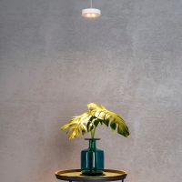 Beneito Cookie suspension lamp