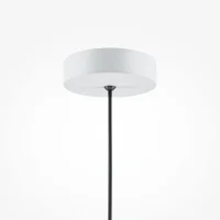 Maytoni Basic Colors suspension lamp Maytoni Basic Colors suspension lamp