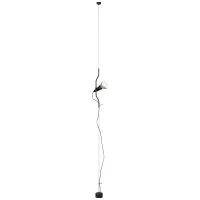 Flos Parentesi suspension floor lamp