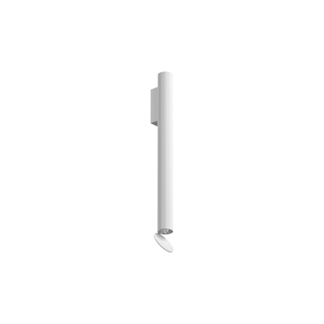 Flos Flauta Riga 2 Outdoor wall lamp ip65