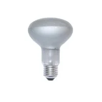 Daylight Bulb Reflector Satin COB LED 2700K Warm White Light