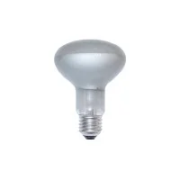 Daylight Bulb Reflector Satin COB LED 2700K Warm White Light Daylight Bulb Reflector Satin COB LED 2700K Warm White Light