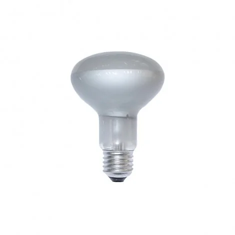 Daylight Bulb Reflector Satin COB LED 2700K Warm White Light