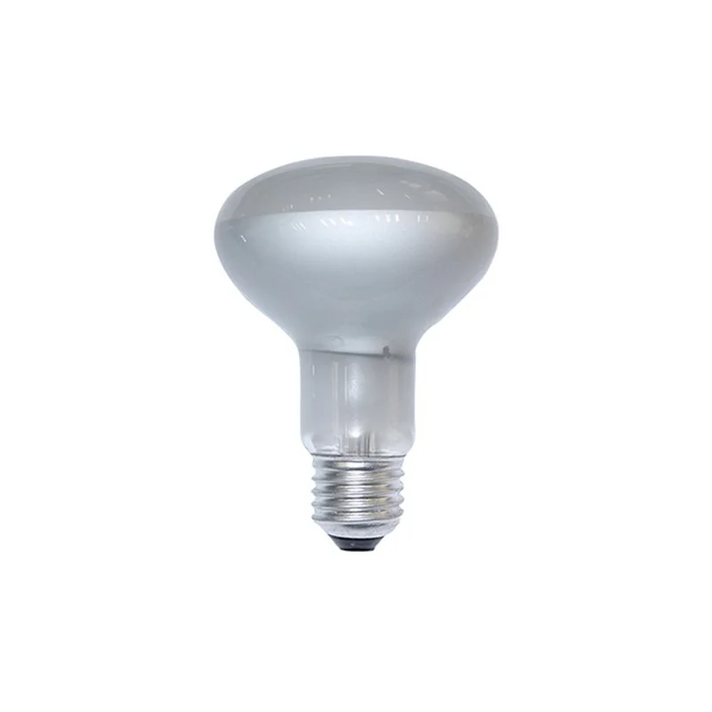 Daylight Bulb Reflector Satin COB LED 2700K Warm White Light Daylight Bulb Reflector Satin COB LED 2700K Warm White Light