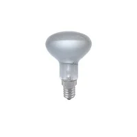 Daylight Bulb Reflector Satin COB LED 2700K Warm White Light